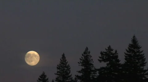 Moon Rise Time Lapse Stock Footage 236115