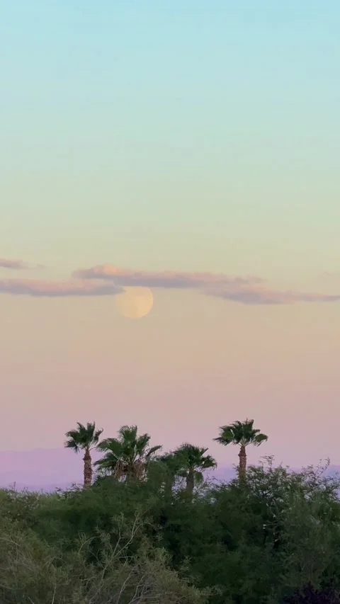Moon Rise , Vertical View Stock Footage 288231135