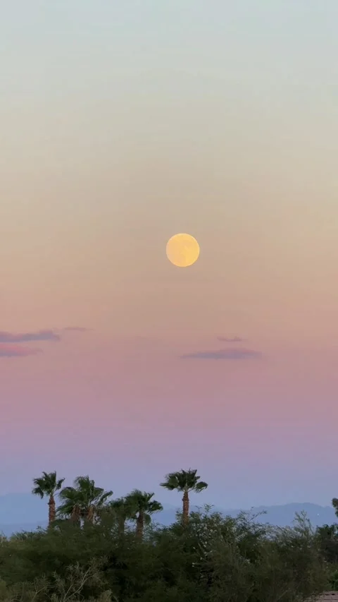 Moon Rise , Verticle View Stock Footage 288231043