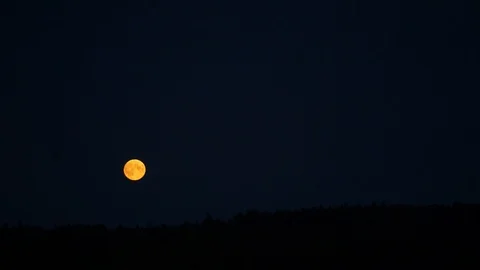 The moon rises above the forest. Timelapse Stock Footage 113752005