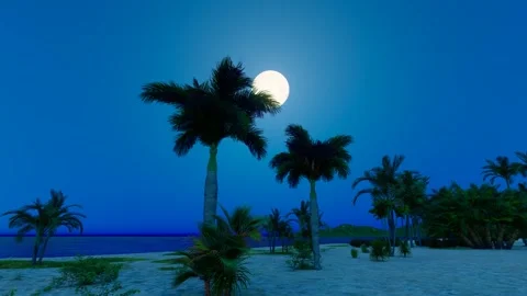 The moon rises on the beach at night Stock Footage 288181058