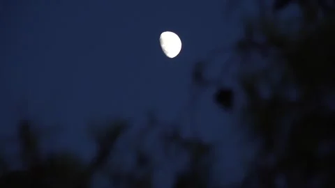 Moon Rises in Crepuscular Sky, Half Moon in Dusk Light View, Evening Stock Footage 334789873