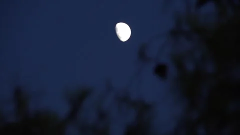 Moon Rises in Crepuscular Sky, Half Moon in Dusk Light View, Evening Stock Footage 336090613