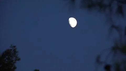 Moon Rises in Crepuscular Sky, Half Moon in Dusk Light View, Evening Stock Footage 342789349