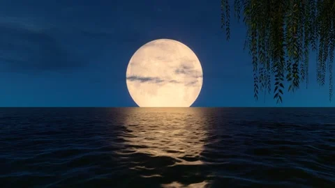 The moon rises on a dark and windy night Stock Footage 291006835