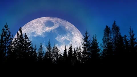 The moon rises, the Mid-Autumn moon, the full moon in the night sky Stock Footage 284531165