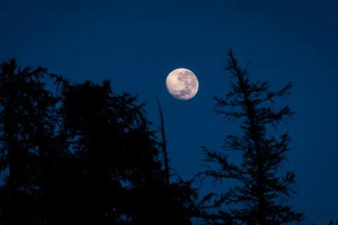 The Moon Rises Stock Photos