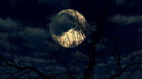 Moon rises through clouds and tree 4k Stock Footage 43455565
