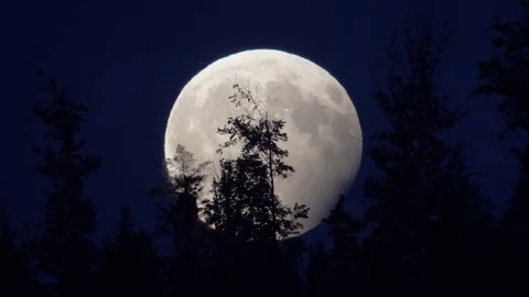 Moon rising behind trees partial Lunar Eclipse July 2017 Plane Flyby Stock Footage 78739965