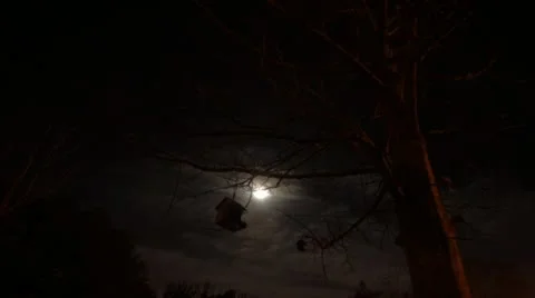 Moon rising on cloudy night Video stock 22217199