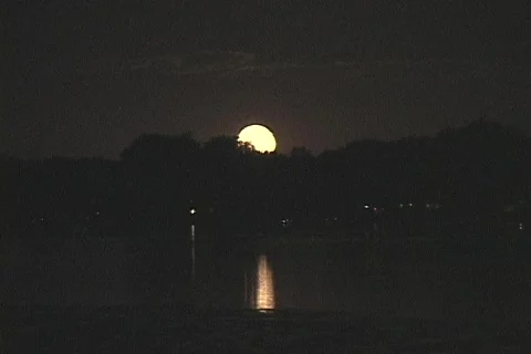 Moon Rising Video stock 85359