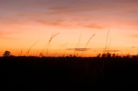 Moon rising on the Okavango Stock Photos