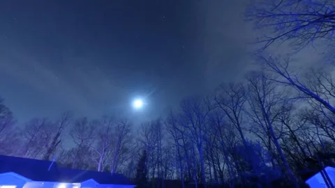 Moon Rising Over Bare Winter Trees at Night Stock Footage 346204901