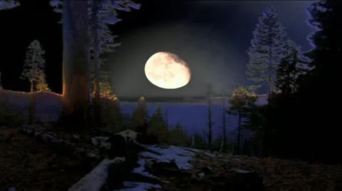 Moon Rising Over Dark Snowy Forest Stock Footage 12617618