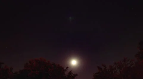 Moon rising over trees Stock Footage 53038318