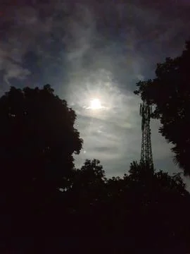 Moon rising over trees at night Stock Photos