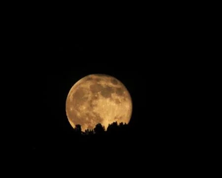 Moon rising Photos