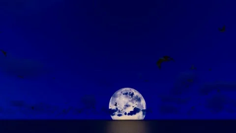 The moon rising from the sea Stock Footage 236181492