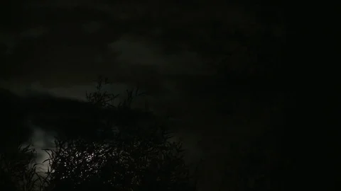 Moon rising timelapse by joshua tree Stock Footage 74091050