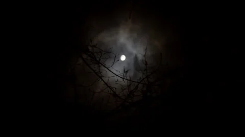 Moon, scary twisted tree silhouette night. Time-lapse. Halloween Moon 스톡 동영상 34831911