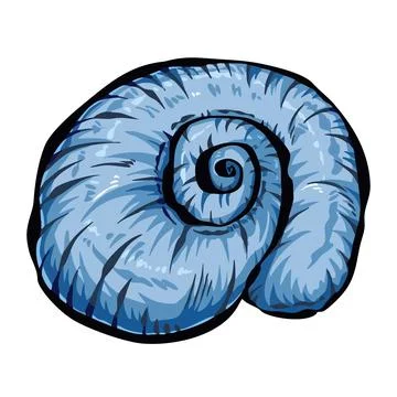 Moon sea shell vector art illustration. Stock Illustration