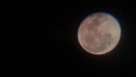 The moon is seen behind the leaves of trees Stock Footage 311171592