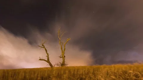 Moon Set in a Cloudy Sky with Fast motion Storm Wind in a Wheat Farm Land Vídeo Stock 145240377
