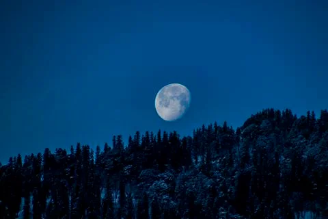 The moon setting over snowy trees Stock Photos