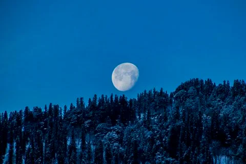 The moon setting over snowy trees Stock Photos