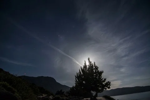 Moon Shine behind a Tree Timelapse Stock Footage 76194714