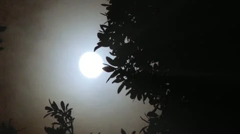 MOON SHINE - HD Stock Footage 12659924