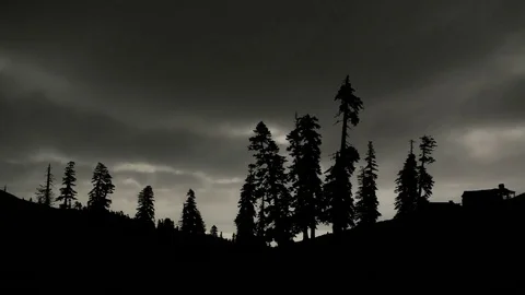 Moon shine through pine silhouette. Halloween forest theme Stock-Footage 83766684