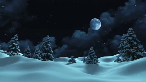 The moon is shining, it is snowing in the forest for Christmas or New Year. Stock Footage 165144109