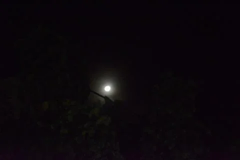 Moon shining in the middle of the night Stock Photos