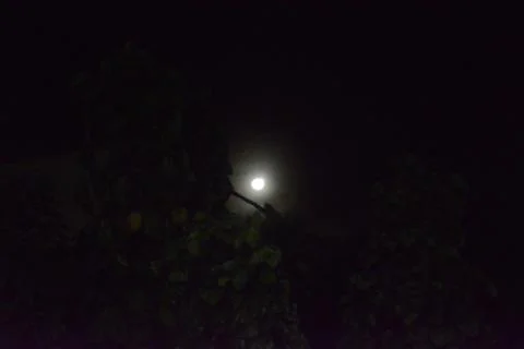 Moon shining in the middle of the night Stock Photos