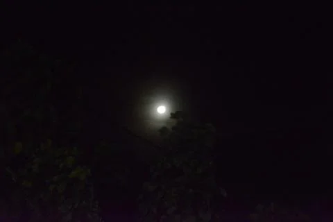 Moon shining in the middle of the night Stock Photos