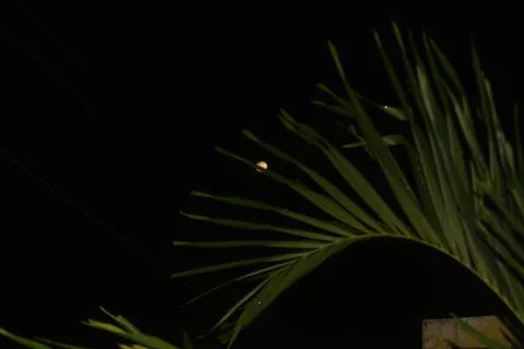 Moon shining in the middle of the night Stock Photos