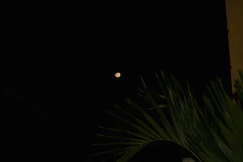 Moon shining in the middle of the night Stock Photos