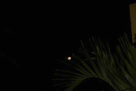 Moon shining in the middle of the night Stock Photos