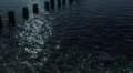 Moon Shore Background HD Footage