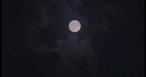 Moon shot Video stock 204127672