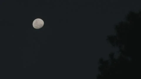 Moon Shot Stock Footage 219764724