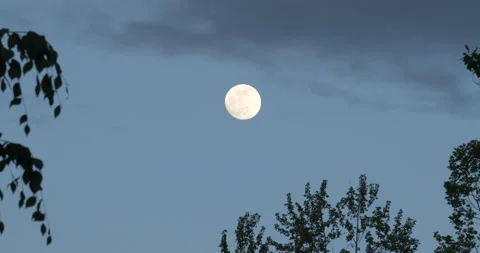 Moon Shot Stock Footage 229482413