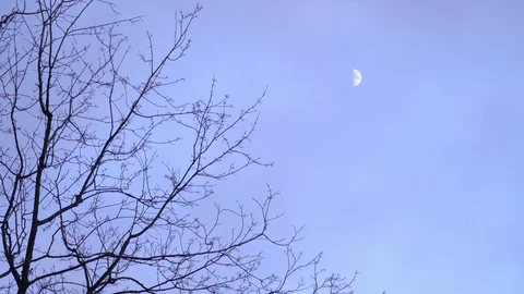 Moon in the sky Stock Footage