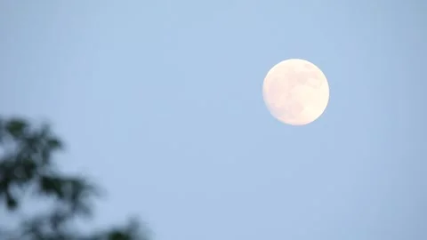 Moon in the sky, moon over the sky Video stock 310079831
