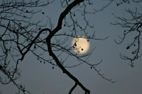 Moon in the sky Stock Photos