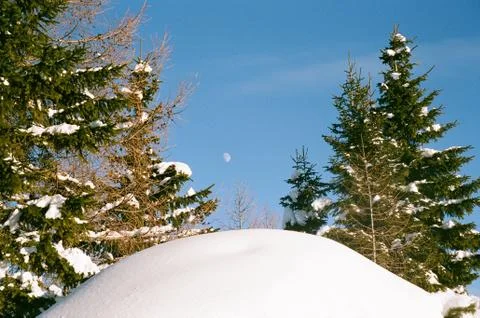 Moon in the snow Stock Photos