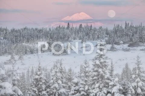 Moon at sunrise Stock Photos