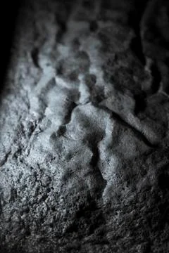 Moon surface simulation. Black and white. Baked sponge texture. Food close-up Stock Photos