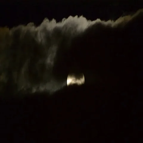 Moon surrounded Vidéo 69701607